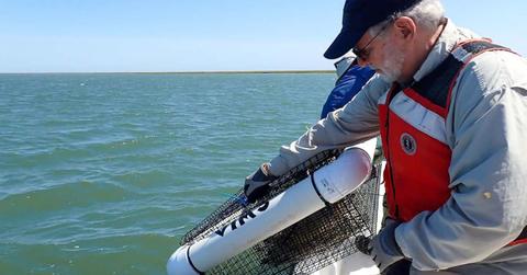 Researchers deploy a floating cage containing one of the experimental groups of juvenile crabs and oysters. (Cover Image Source: W&M’s Batten School & VIMS | Photo by Lyndsey Smith)