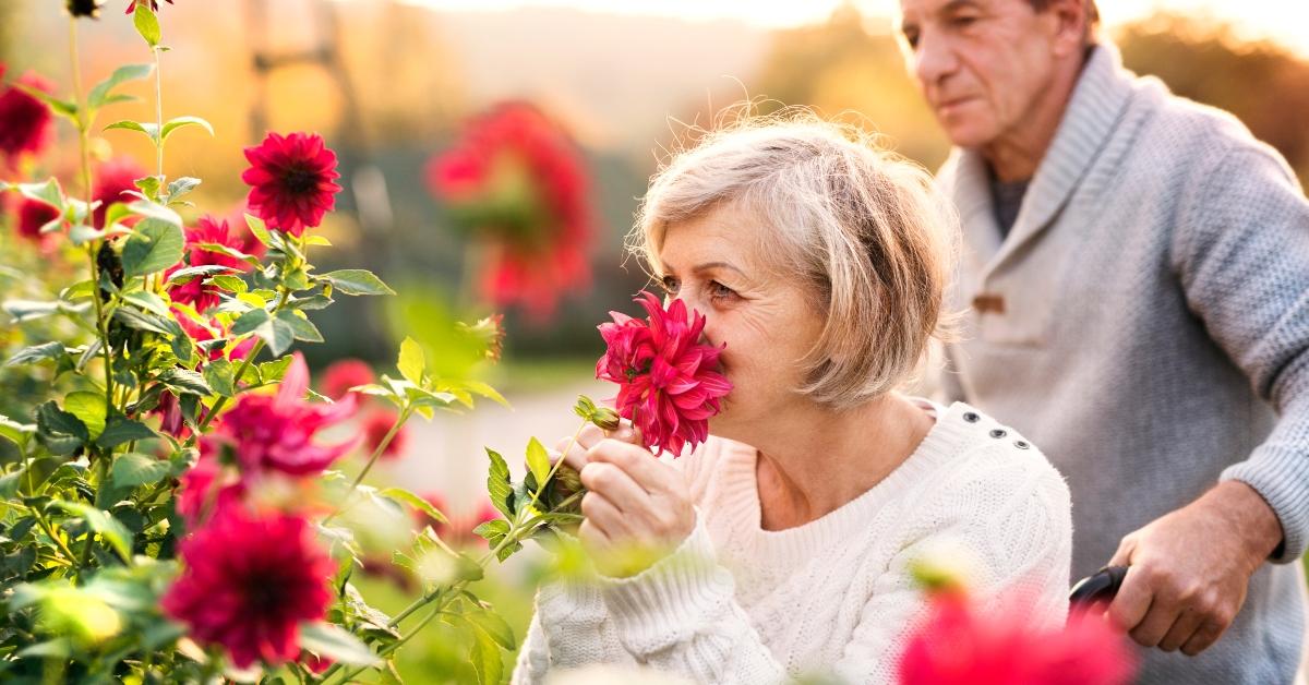 A woman sniffing a red dahlia in the garden. 