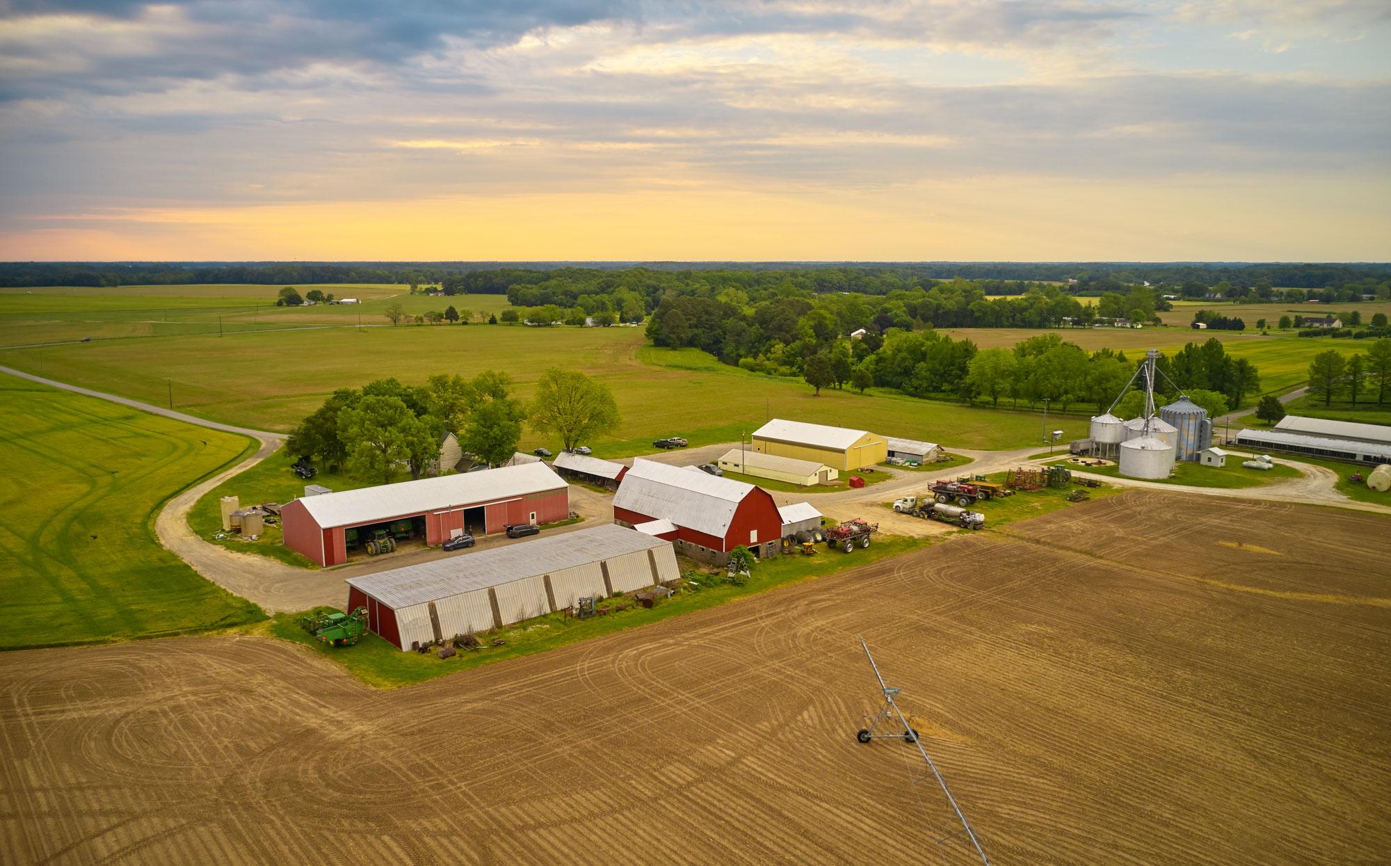 United Soybean Board Soybean Farm