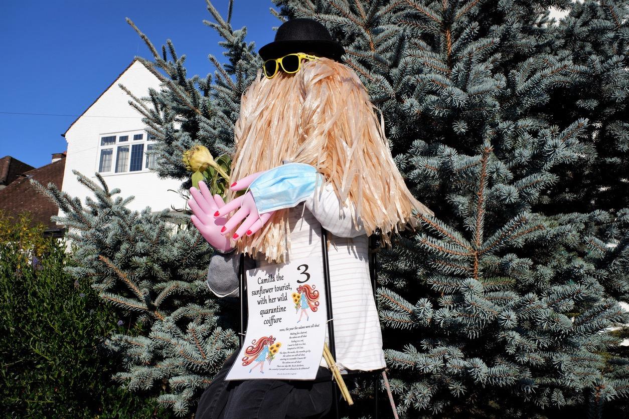 Eccentric Scarecrow