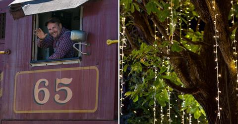 (L) Passenger riding in the Skunk Train, (R) Tree bark decorated with Christmas lights (Representative Cover Image Source: Getty Images | (L) George Rose, (R) Tanchaiyan Tantiamnuay)