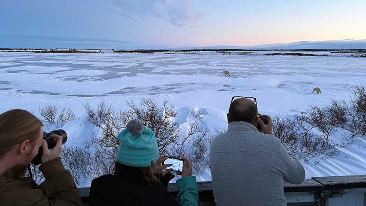 pn/dc cad fc bf dcceabc