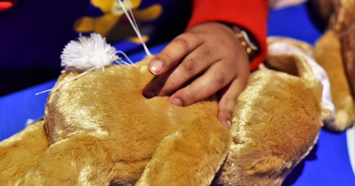 Stuffed Teddy Bear Repair