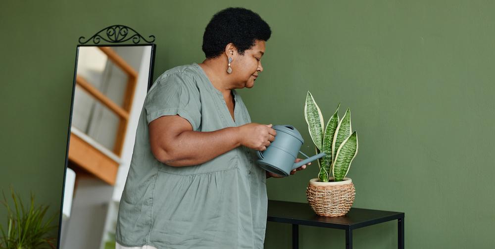 A woman watering a houseplant.