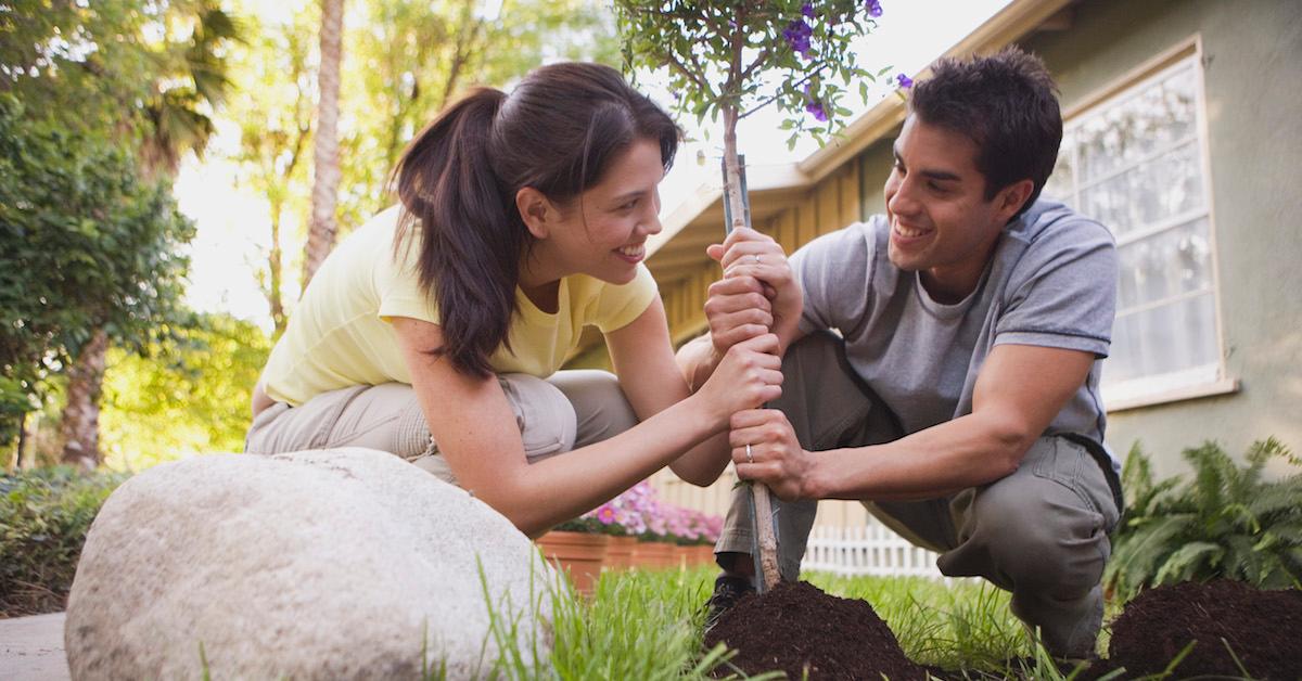 A couple plants a tree outside