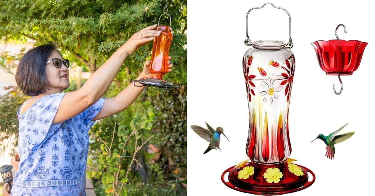 (L) A woman installing a hummingbird feeder in her garden (Representative Cover Image Source: Getty Images | Adamkaz) | (R) Amazon sells an award-winning hummingbird feeder. (Cover Image Source: Amazon)