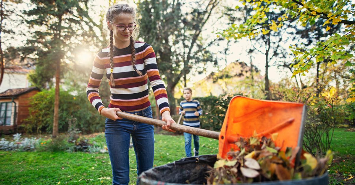 How to Start a Backyard Compost