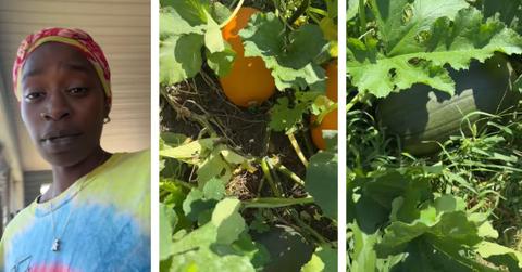 A woman shows off the pumpkin patch she grew without trying