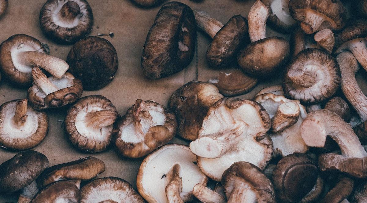 Pile of shiitake mushrooms