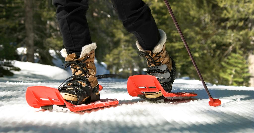 What Size Snowshoe Am I? Here’s a Guide to the Sport, to Get Started