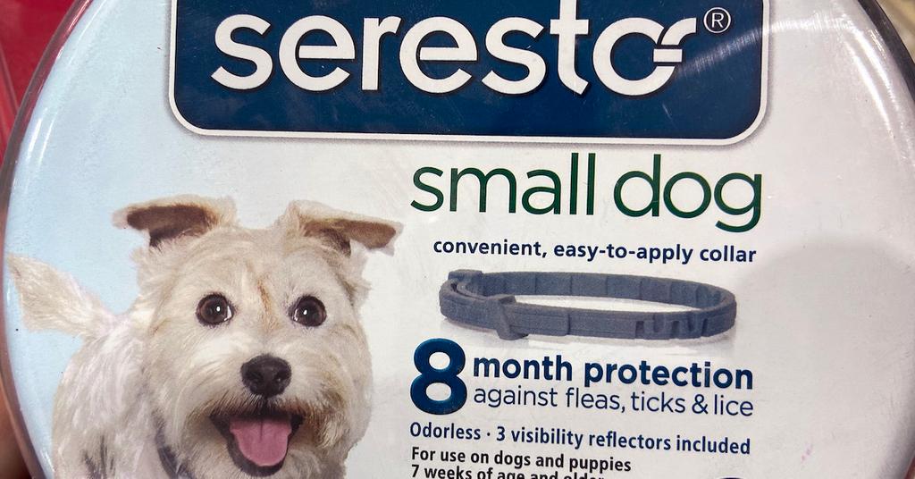 Are Seresto Collars Safe? Complaints Allege That They Are Deadly