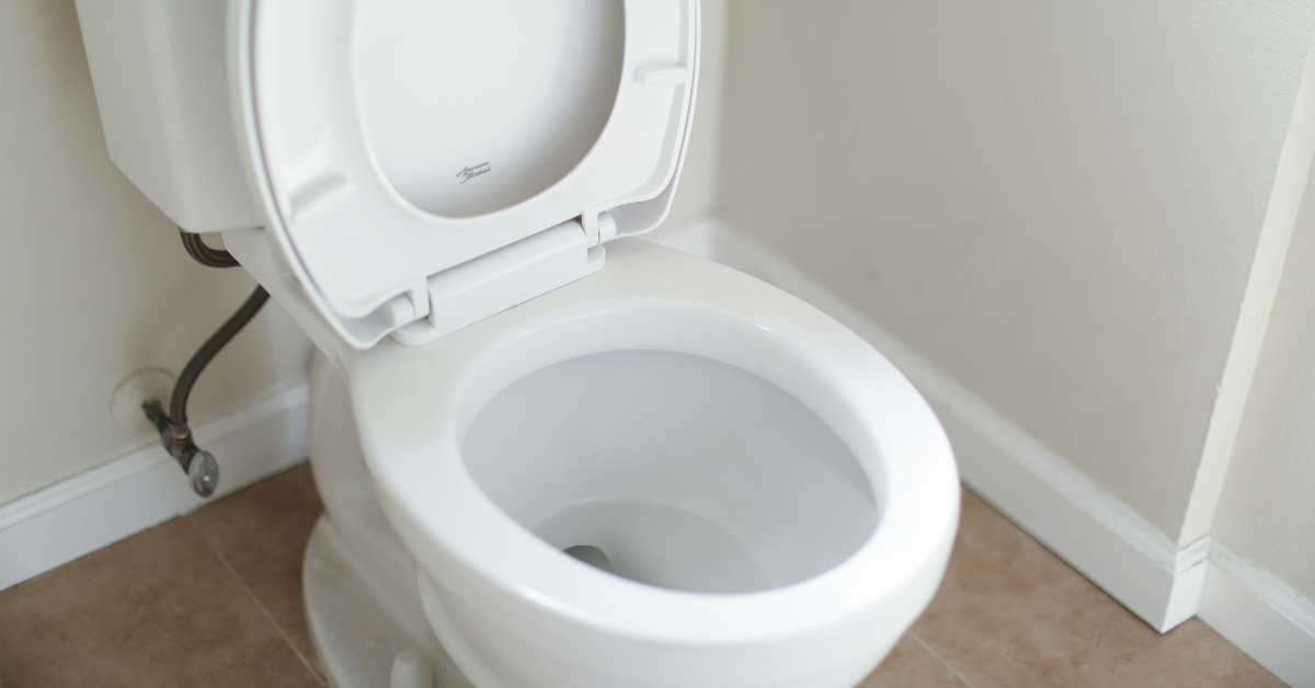 A closeup of a white toilet in a clean bathroom