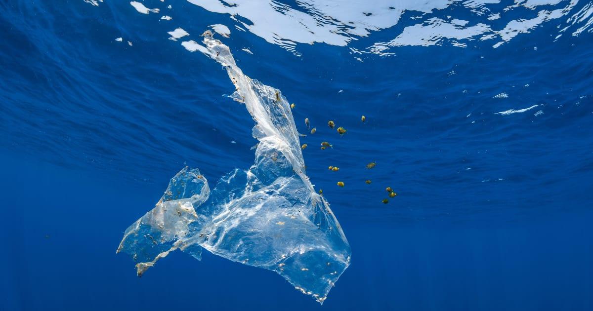 pn/d dd fc a eaadafe