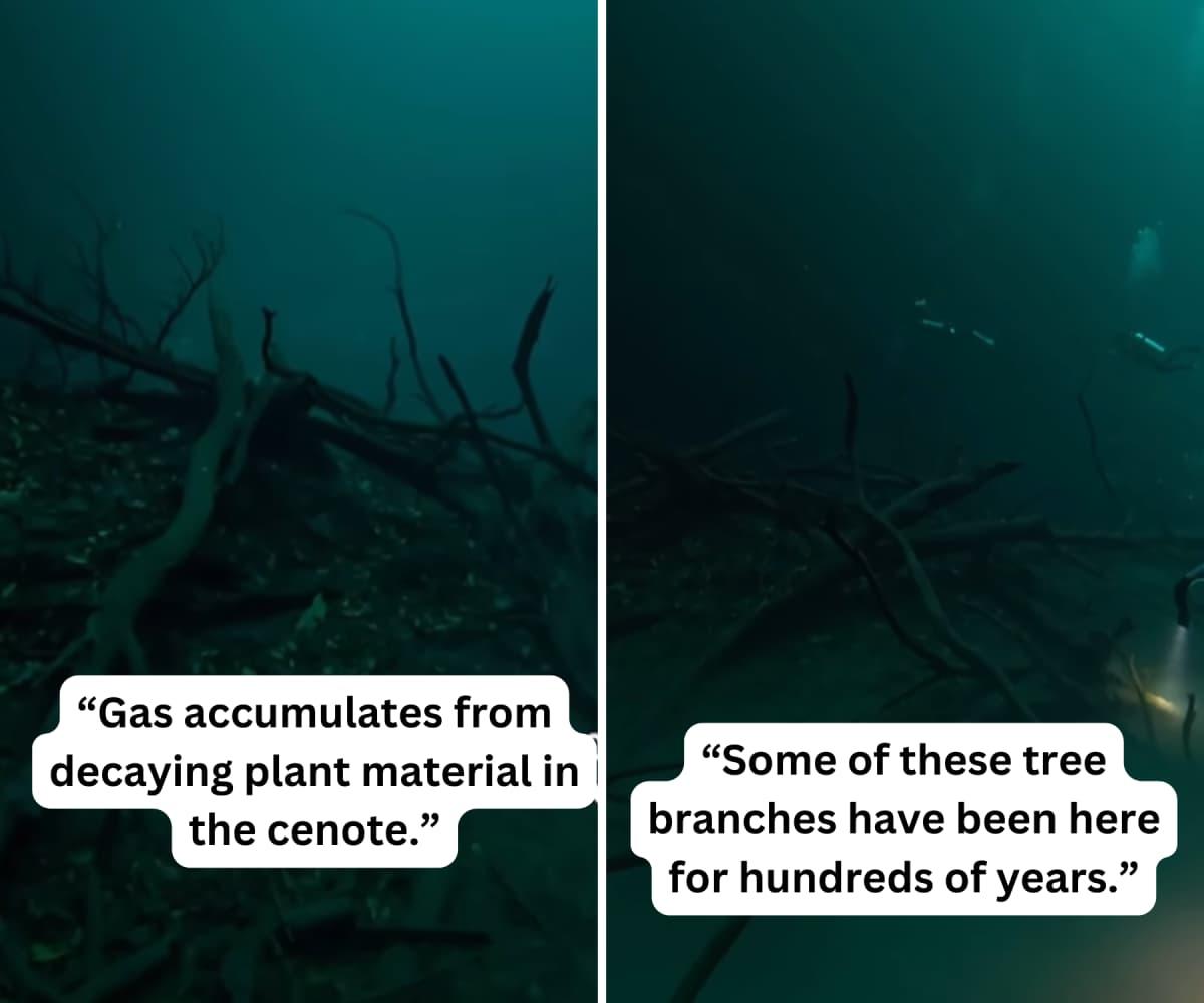 pn/eca a ec afe eeebc