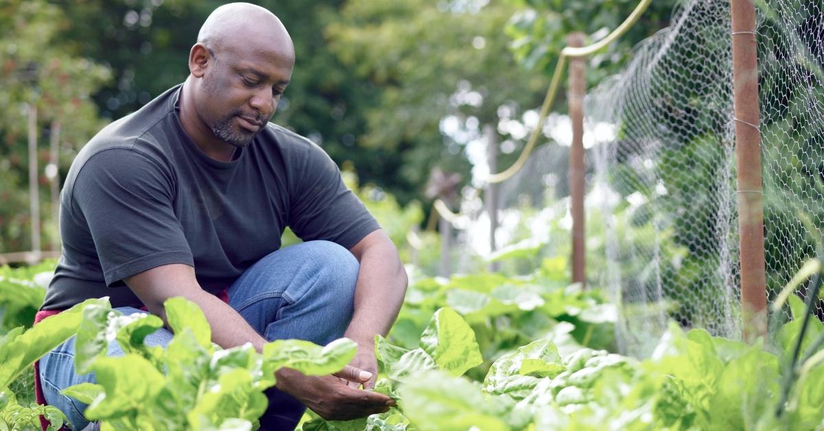 Gardening 