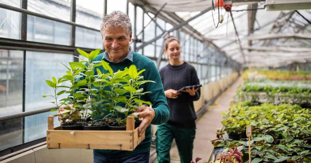 The customer is purchasing plants from the garden center. (Representative Cover Image Source: Getty Images| Luis Alvarez)