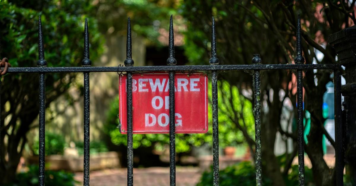 A beware of dog sign hangs on a fence