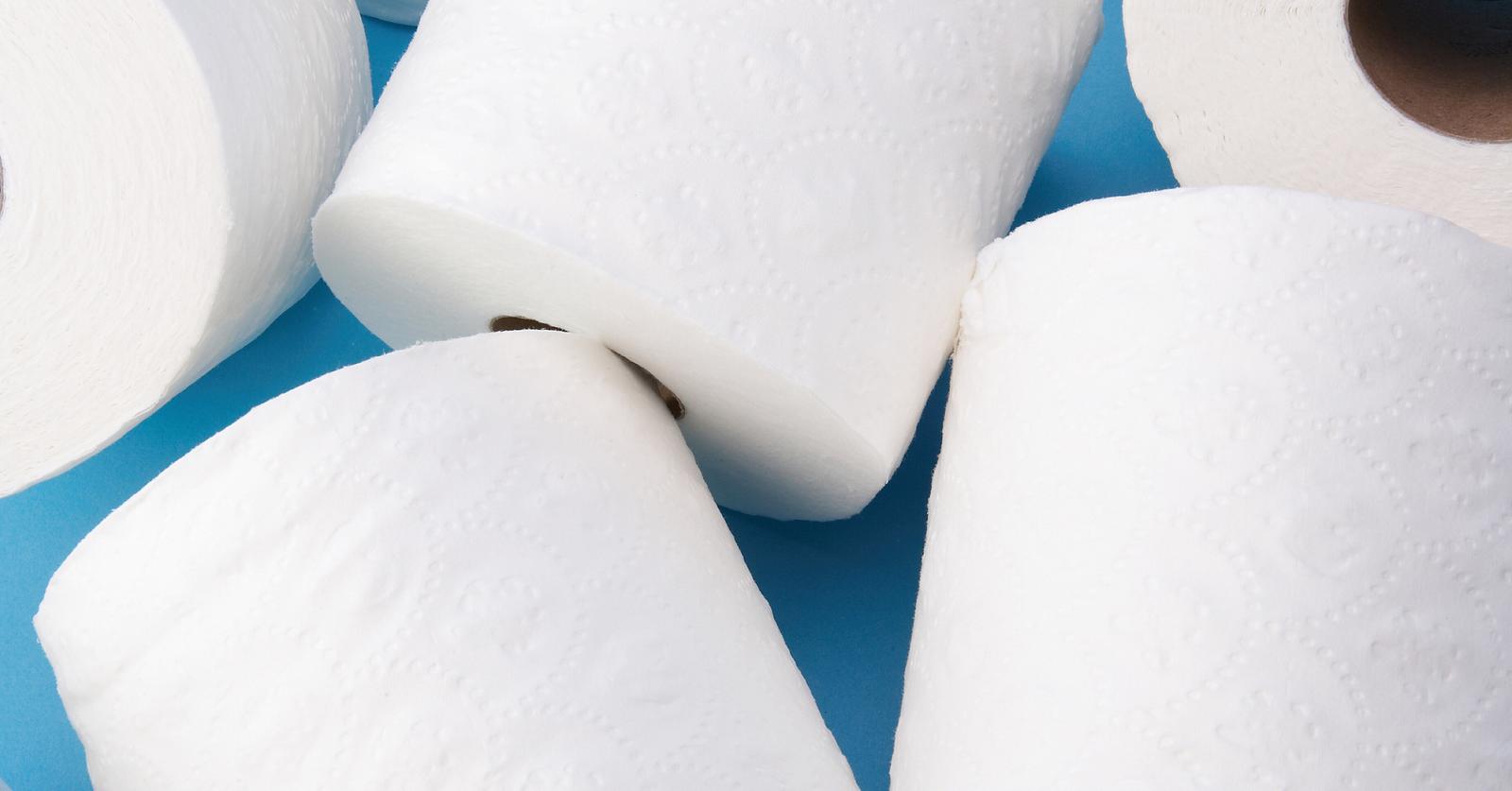 Designer Toilet Paper Companies That Are Also Sustainable and PlasticFree