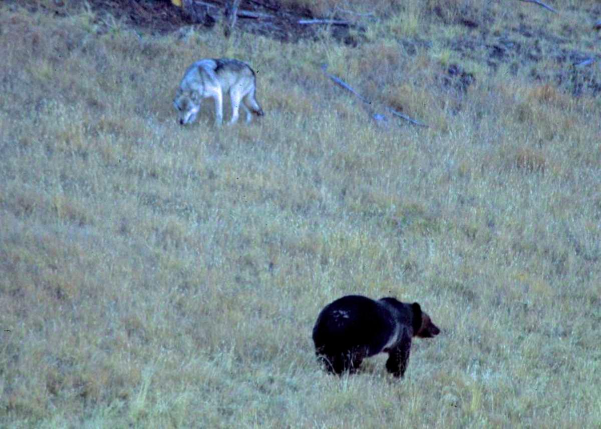 pn/ffe eee  bedc faa