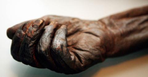 preserved hand and wrist from bog body
