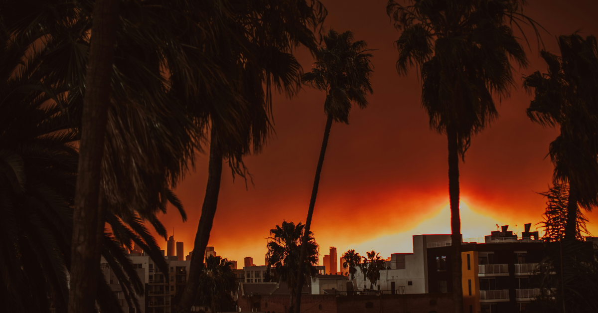 The glow of the blaze of the Eaton Fire can be seen through the palm trees in L.A. County