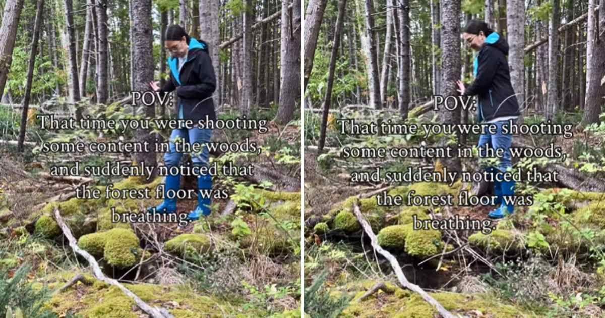 A woman standing under a tree starts rising up and down as the forest floor begins to breathe. (Cover Image Source: Instagram | @thebodaciousbluenoser)