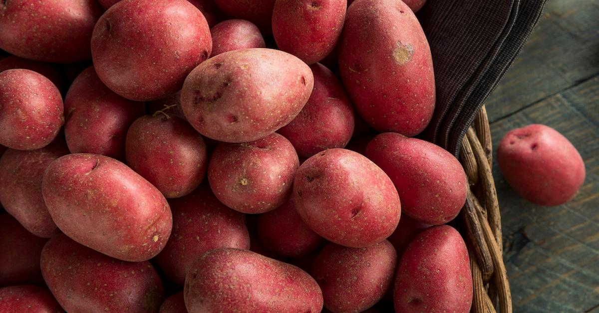 svovl Indflydelse krysantemum Nutrition of Red Potatoes, Sweet Potatoes, and More