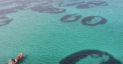 Stunning seagrass 'fairy circles' captured underwater. (Cover Image Source: Facebook | @NatureScot)