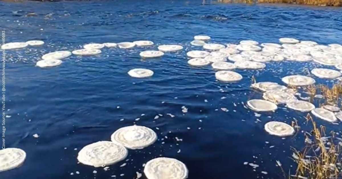 A Scottish river donning perfectly round ice pancakes. (Cover Image Source: YouTube | @scottishinvasivespecies6693)