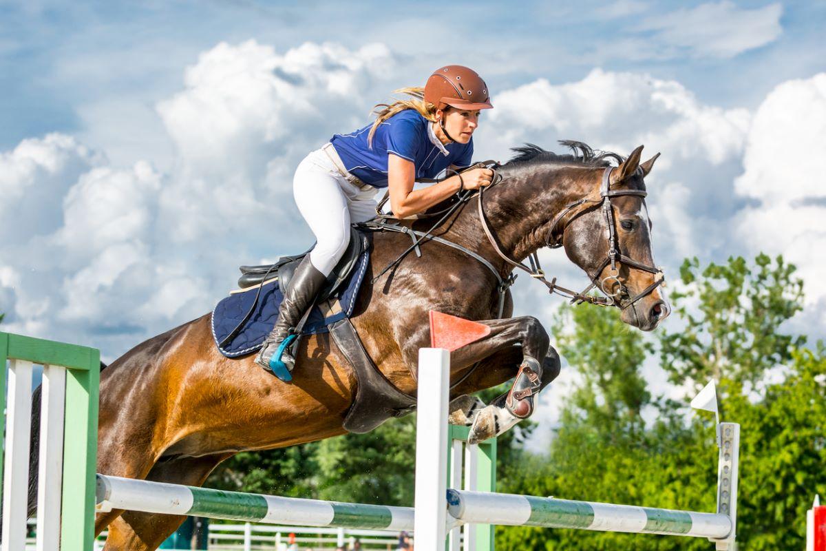 Woman jumping over hurdles with her horse