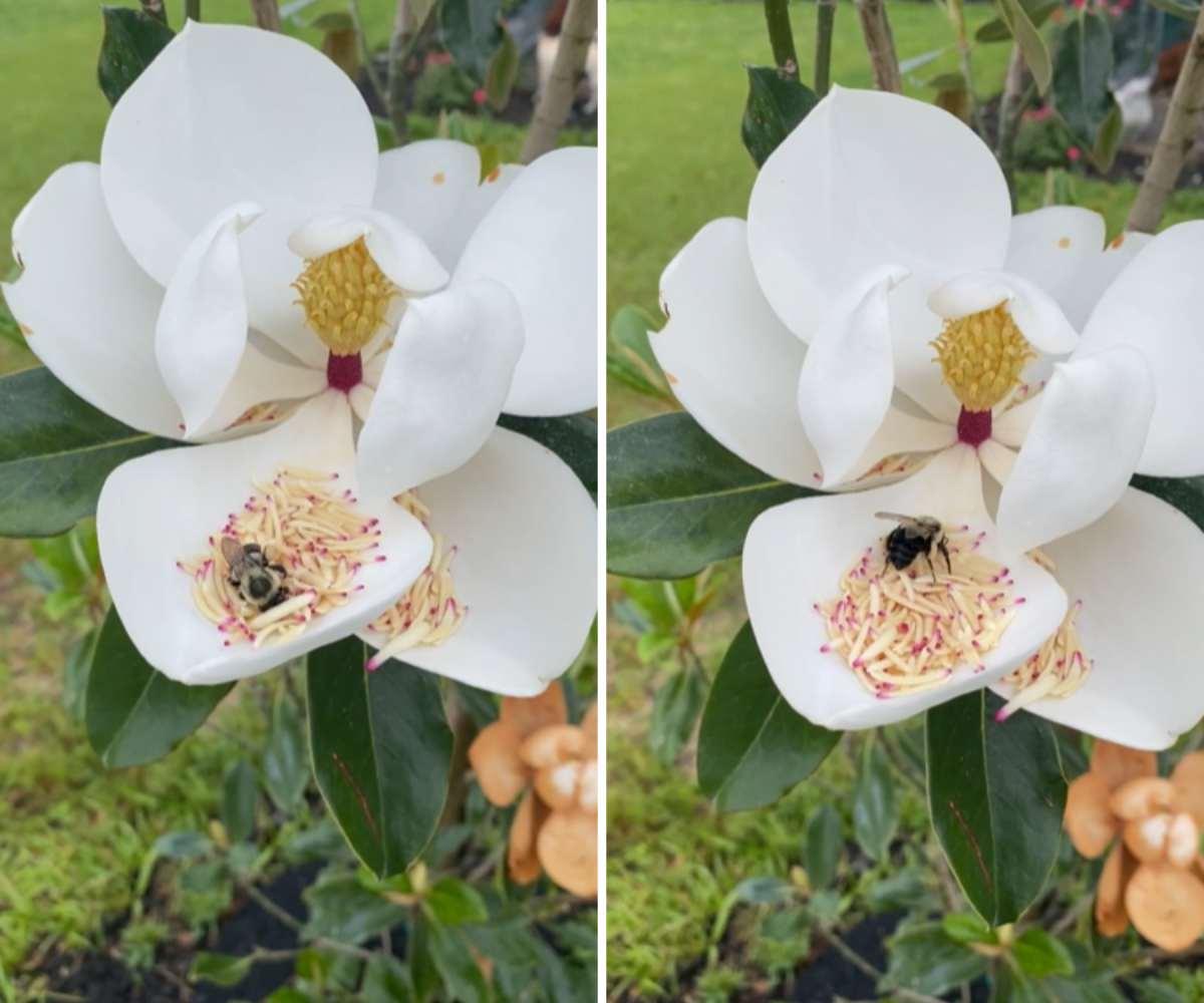 pn/eeff bfd bd d daae