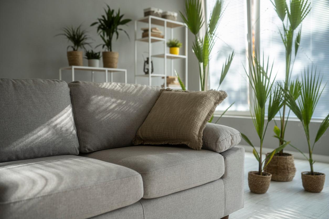 A basic gray-toned beige cotton couch in a living room with various plants.