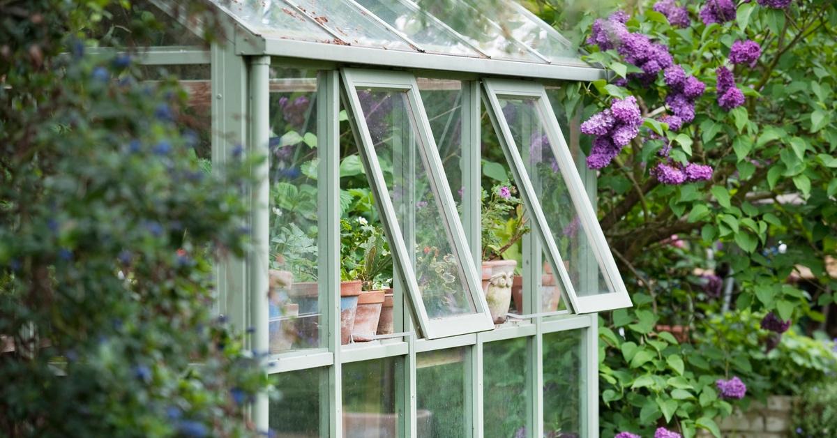 Open windows in a backyard garden greenhouse surrounded by flowering trees. 