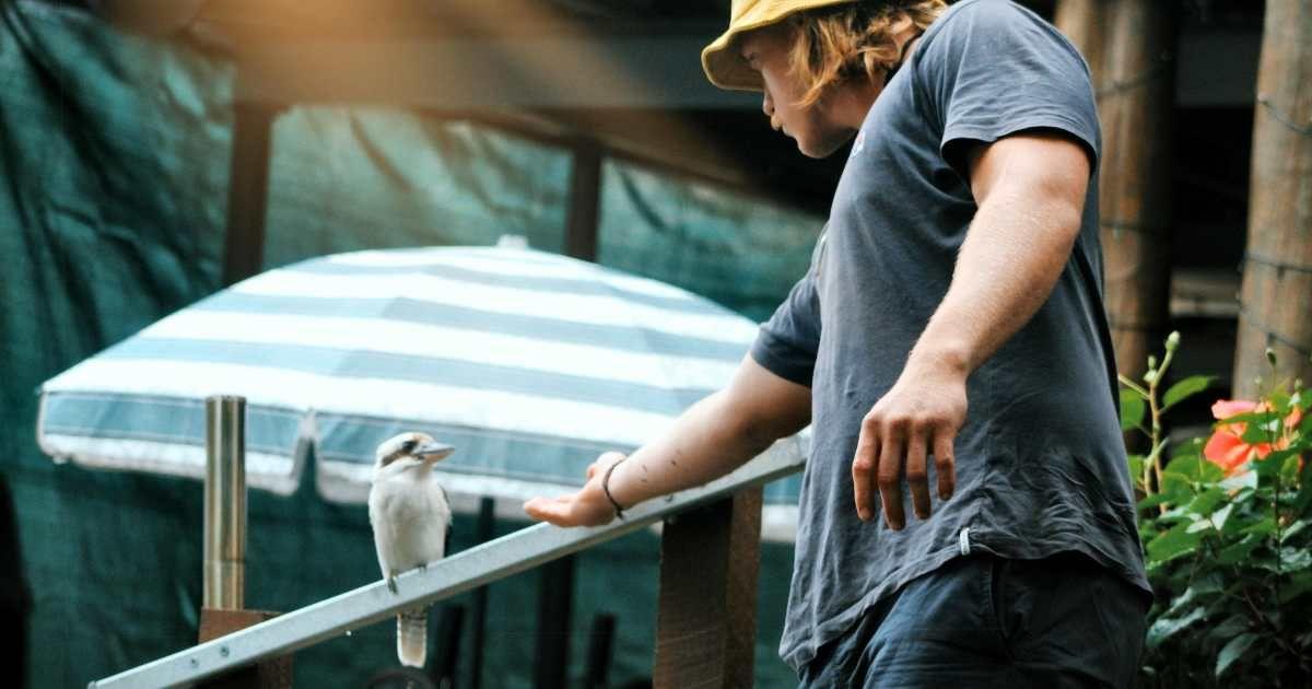 A man is trying to invite a bird into his garden. (Representative Cover Image Source: Pexels | Oliver Abbott)
