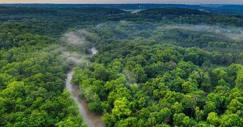 Amazon River flowing from between the trails of Amazon rainforest (Representative Cover Image Source: Pexels | Tom Fisk)