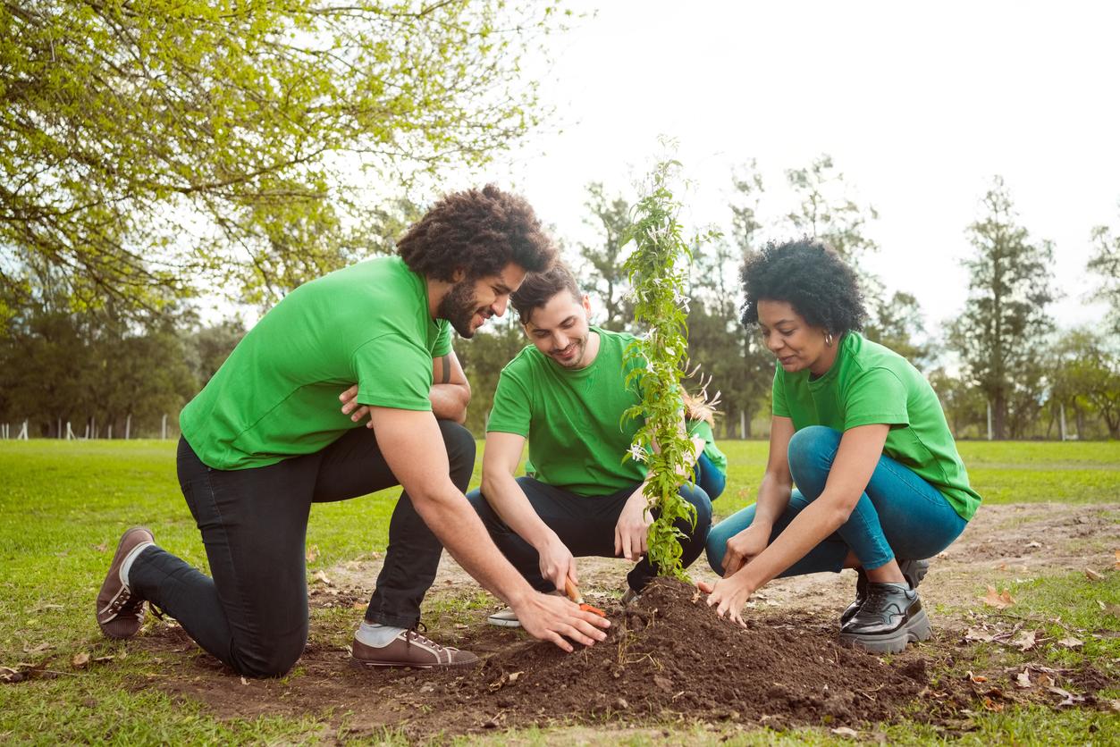 How Much Oxygen Does a Tree Produce? What You Need to Know