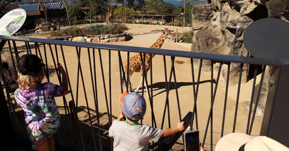 Two children looking at giraffe exhibit at Taronga Zoo in Sydney, Australia