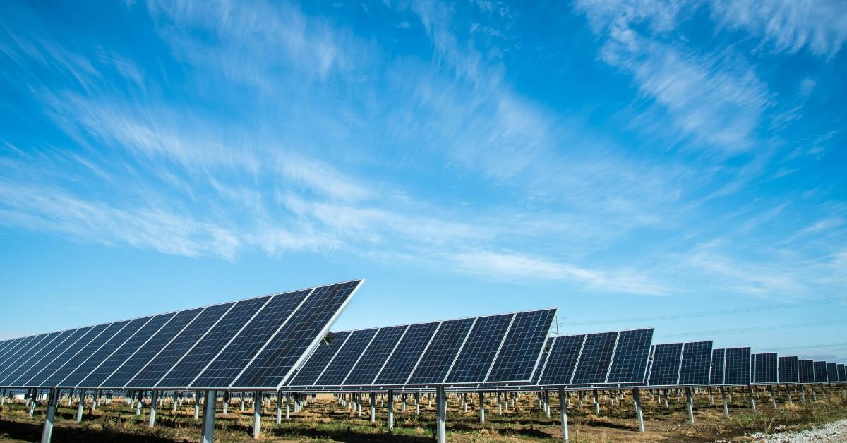 Rows of solar panels are facing the sky in an open field