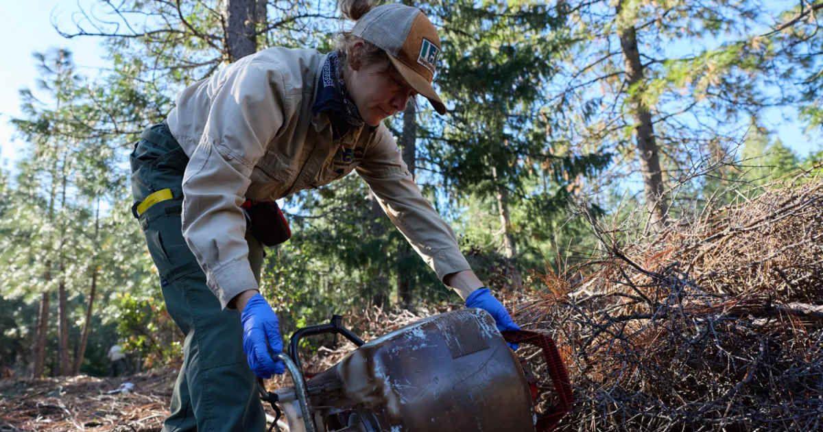 A member of the Integral Ecology Research Center recovers a pesticide sprayer that was hidden under brush at the Shasta-Trinity trespass grow. (Cover Image Source: Fred Greaves | CalMatters)