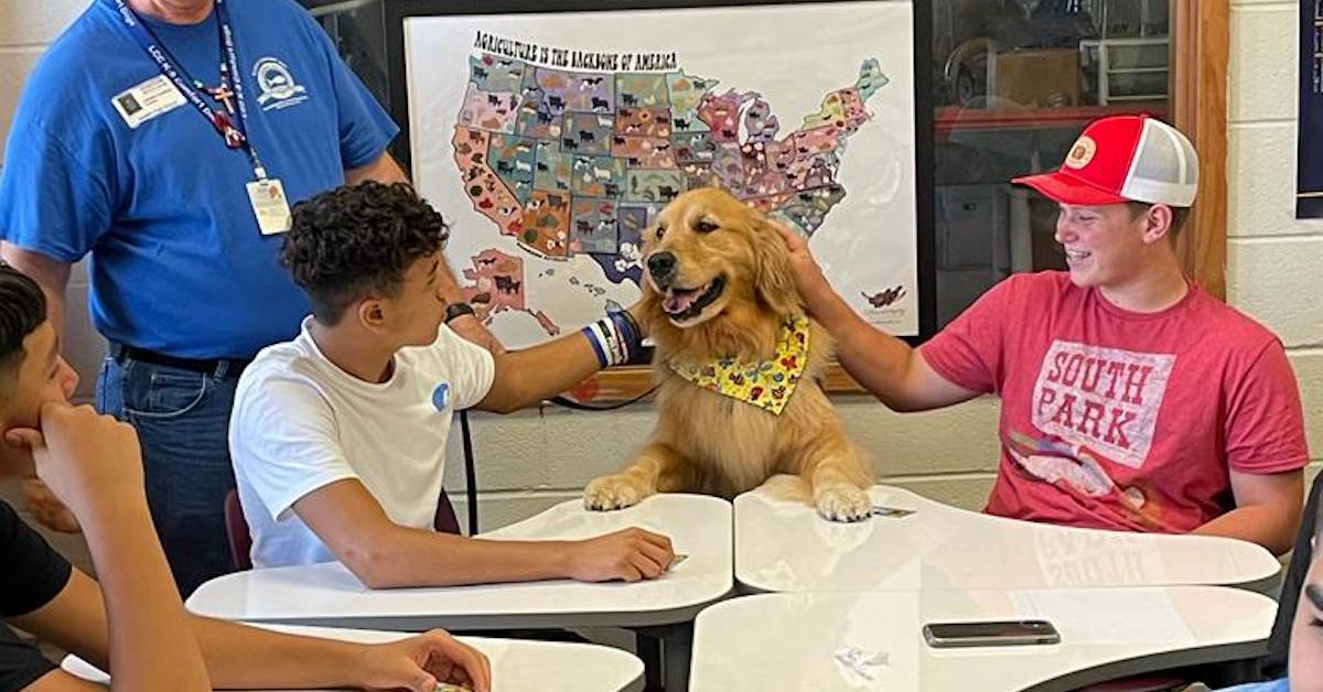 comfort dogs uvalde