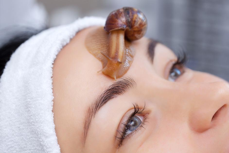 A close up photo of a snail on a woman's forehead at a beauty salon. 