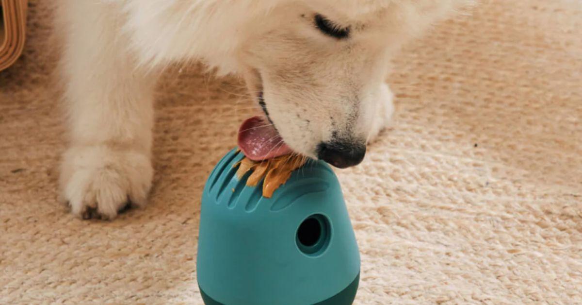 Work your dog's brain with this interactive food-dispensing toy  The Game  by Fable will keep your pup busy for up to 30 minutes. Click here to check  it out:  Check
