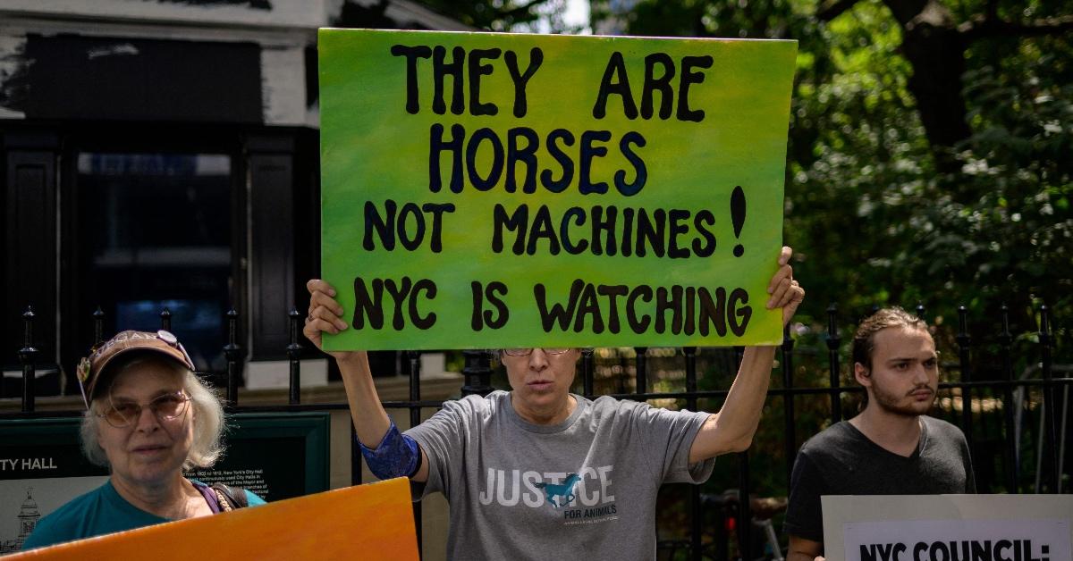 Activists from NYCLASS holding signs advocating against carriage horses.