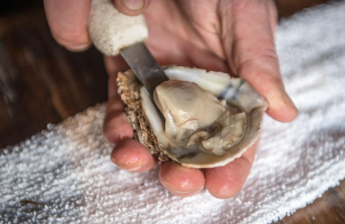 Person preparing freshly shucked oyster.