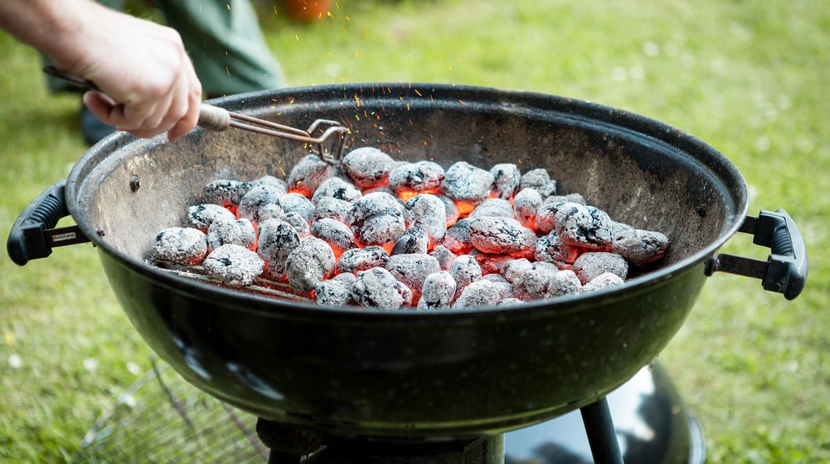 Is Charcoal Ash Good for Plants? Pros and Cons