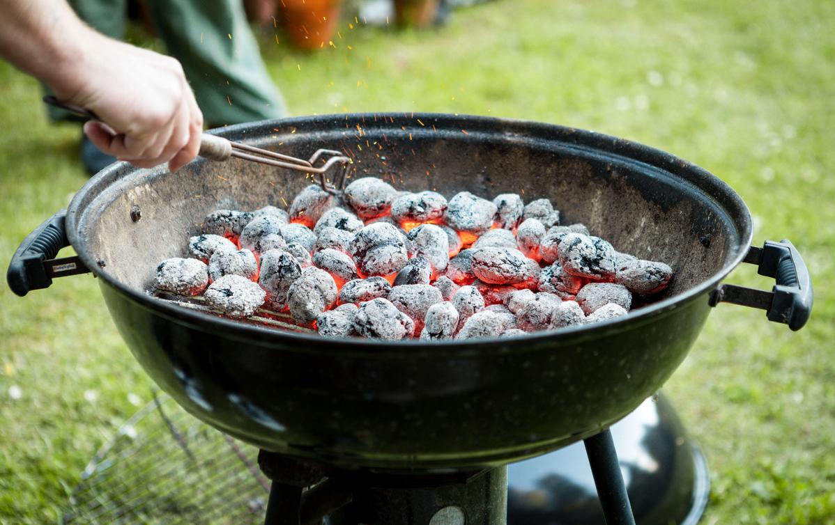Is Charcoal Ash Good for Plants? Pros and Cons