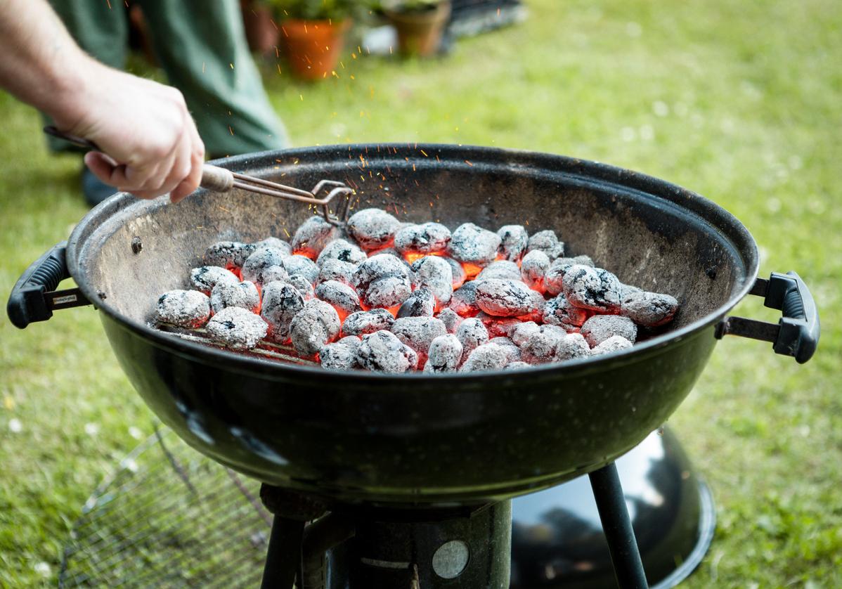Is Charcoal Ash Good for Plants? Pros and Cons