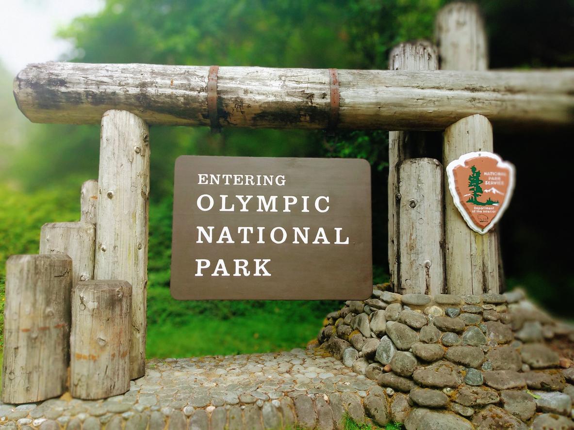 A brown sign with the words "Entering Olympic National Park" is depicted beside slabs of wood and stone.