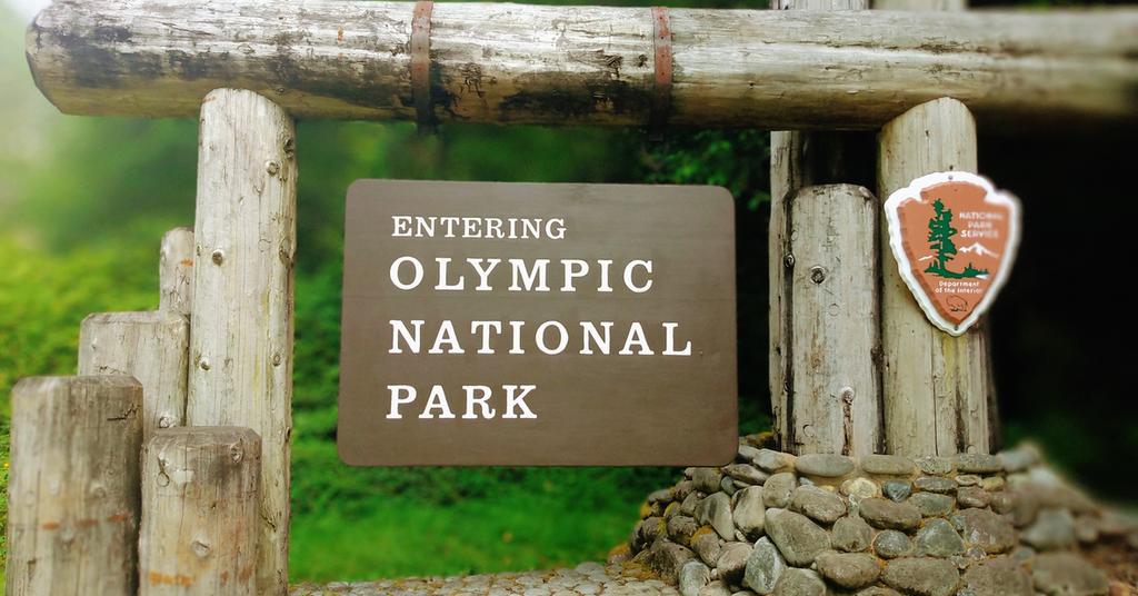 Olympic National Park Best Time to Visit