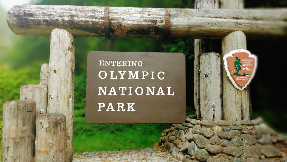 How to visit olympic national park